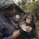 Fotograma de MAMA, de Pablo de la Chica