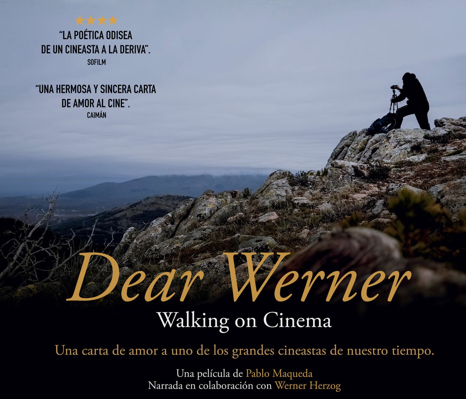 El acto de amor más increíble de la historia del cine
